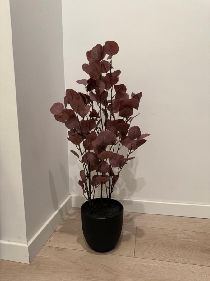 Warm Hotel Apartment Bükreş Dış mekan fotoğraf