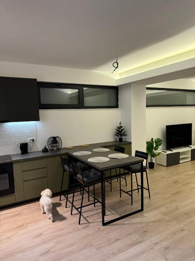 Warm Hotel Apartment Bükreş Dış mekan fotoğraf